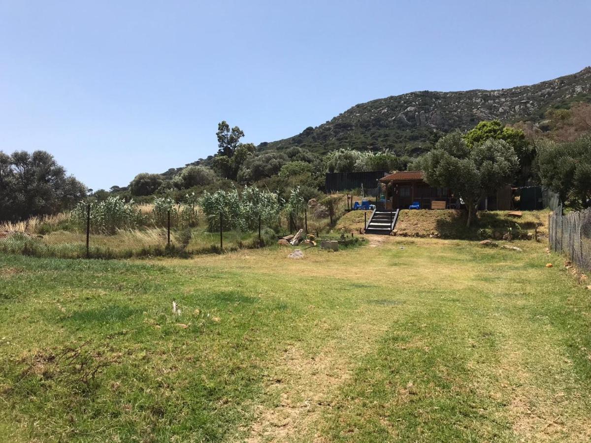 Rustic Cabin Tarifa 4 Guests 10 Minutes To Beach 外观 照片