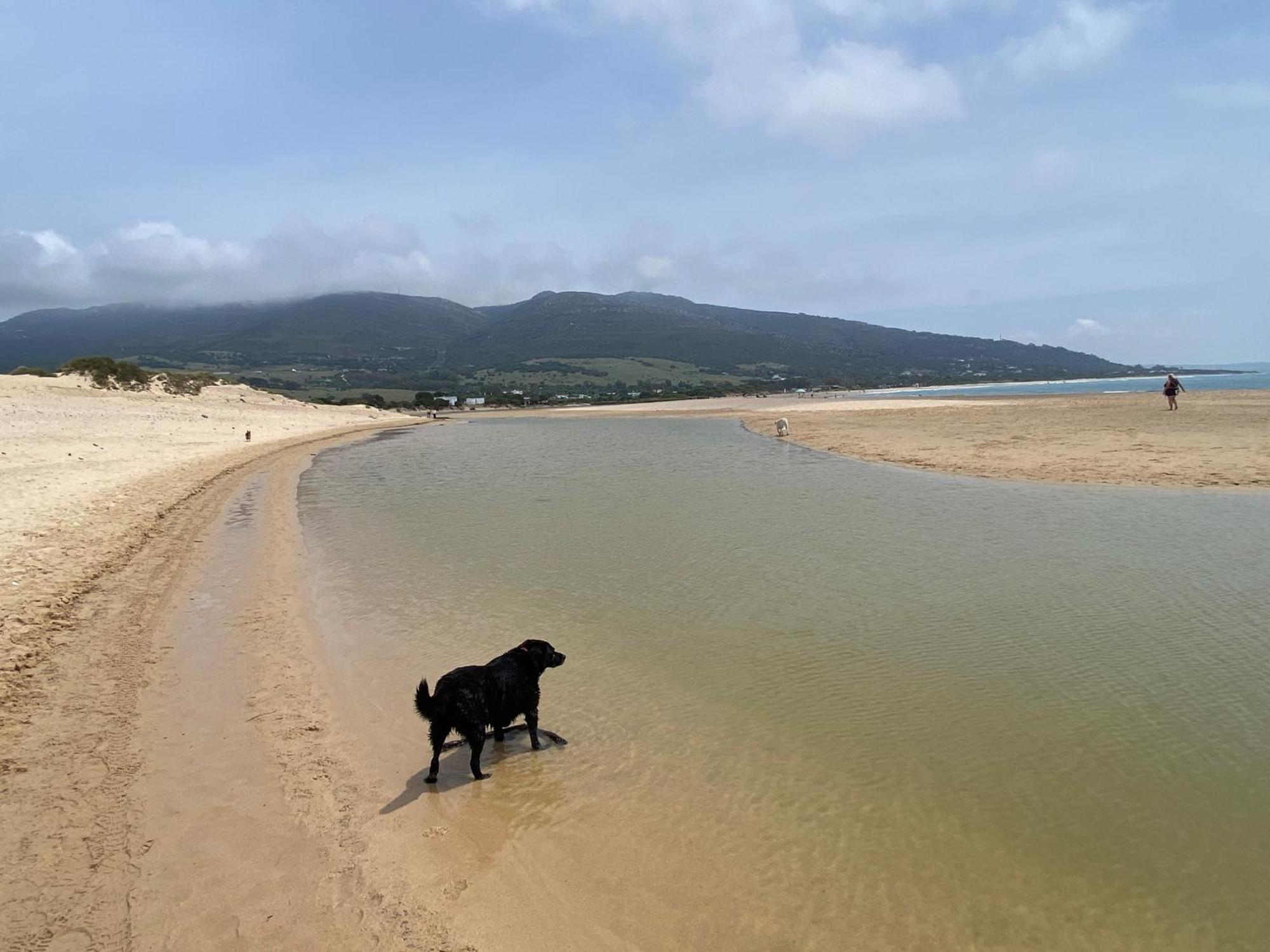 Rustic Cabin Tarifa 4 Guests 10 Minutes To Beach 外观 照片